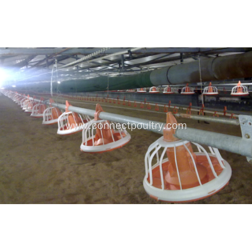 Automatic Broiler feeding line